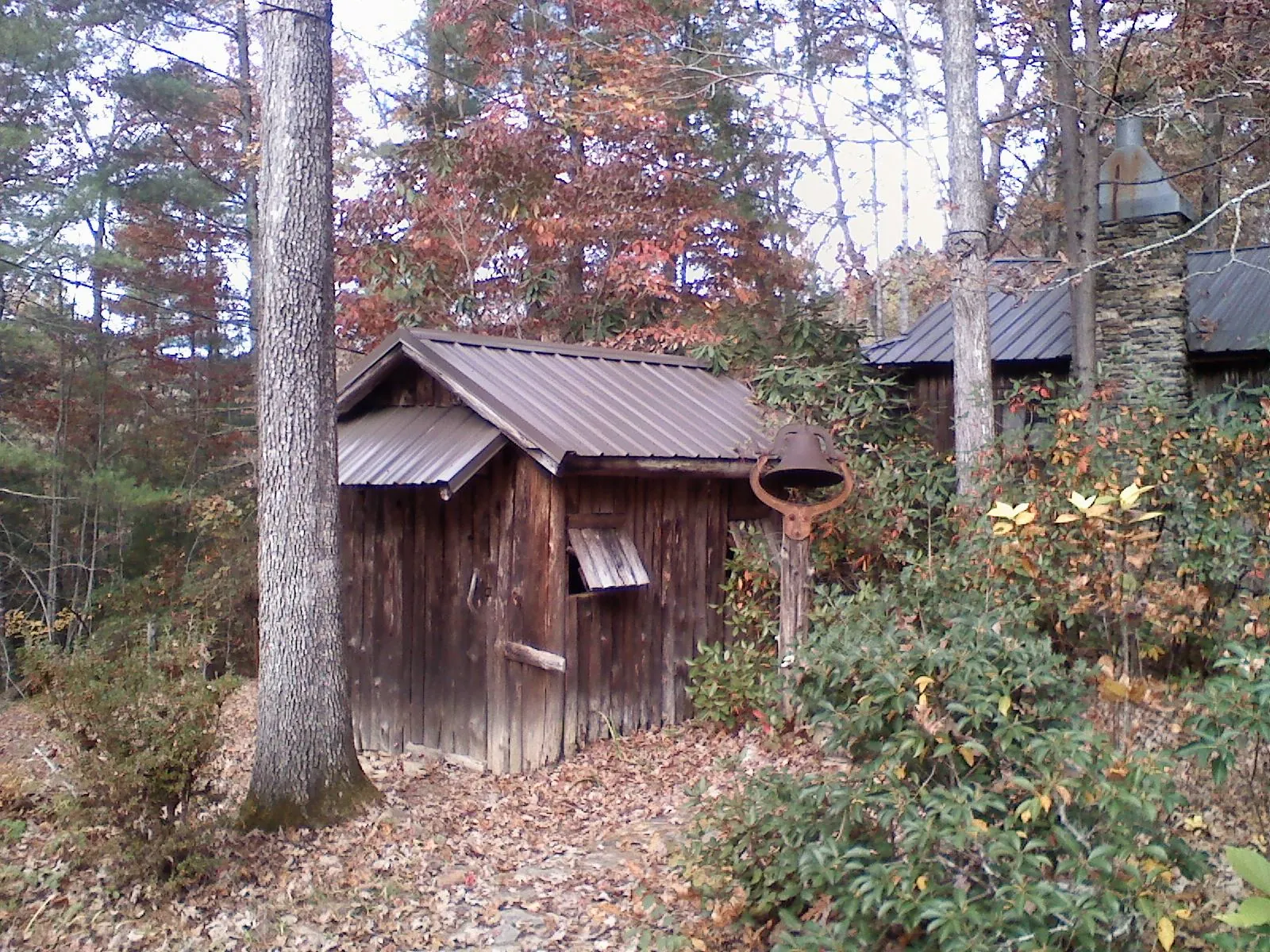 Small metal roof on a rough sawn shed in the woods in Six Lakes