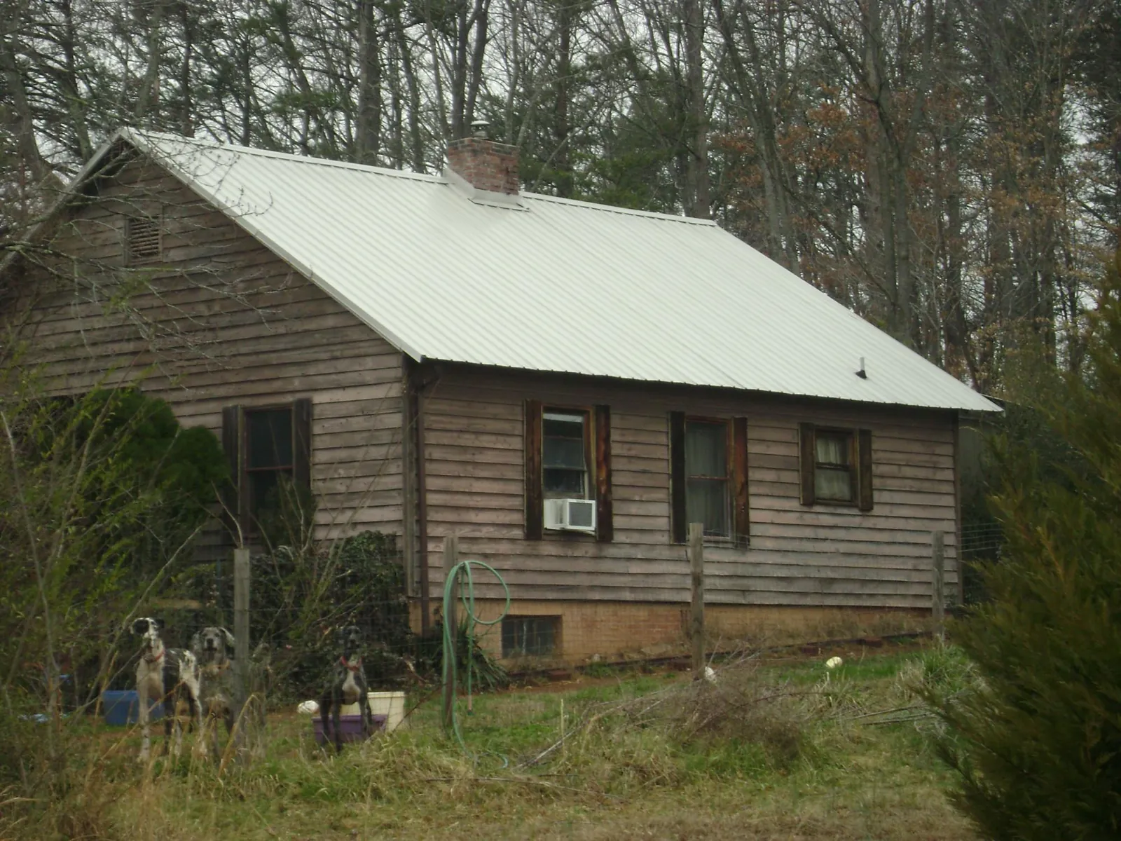 White metal roof on an old wood sided farmhouse, from a Asphalt Shingle Roof Repair job in Six Lakes